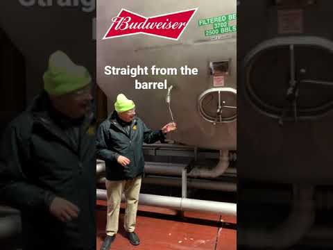 Video: Prehliadka pivovaru Anheuser-Busch v St. Louis