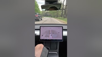 🐕FSD recognizes dogs🔥 #shorts #tesla  #elonmusk #tech #technology #autopilot #fsdbeta