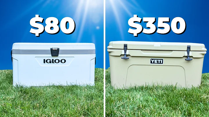 Can These CHEAPER Coolers Beat a YETI?