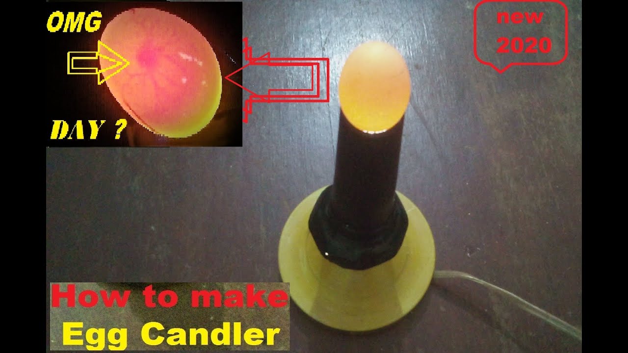 DIY Cheap Homemade Egg Candler // how to make egg candler at home