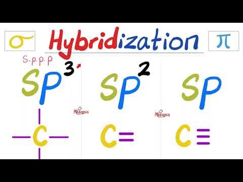 Orbital Hybridization | sp3, sp2, sp | Sigma bond vs Pi bond | Organic ...