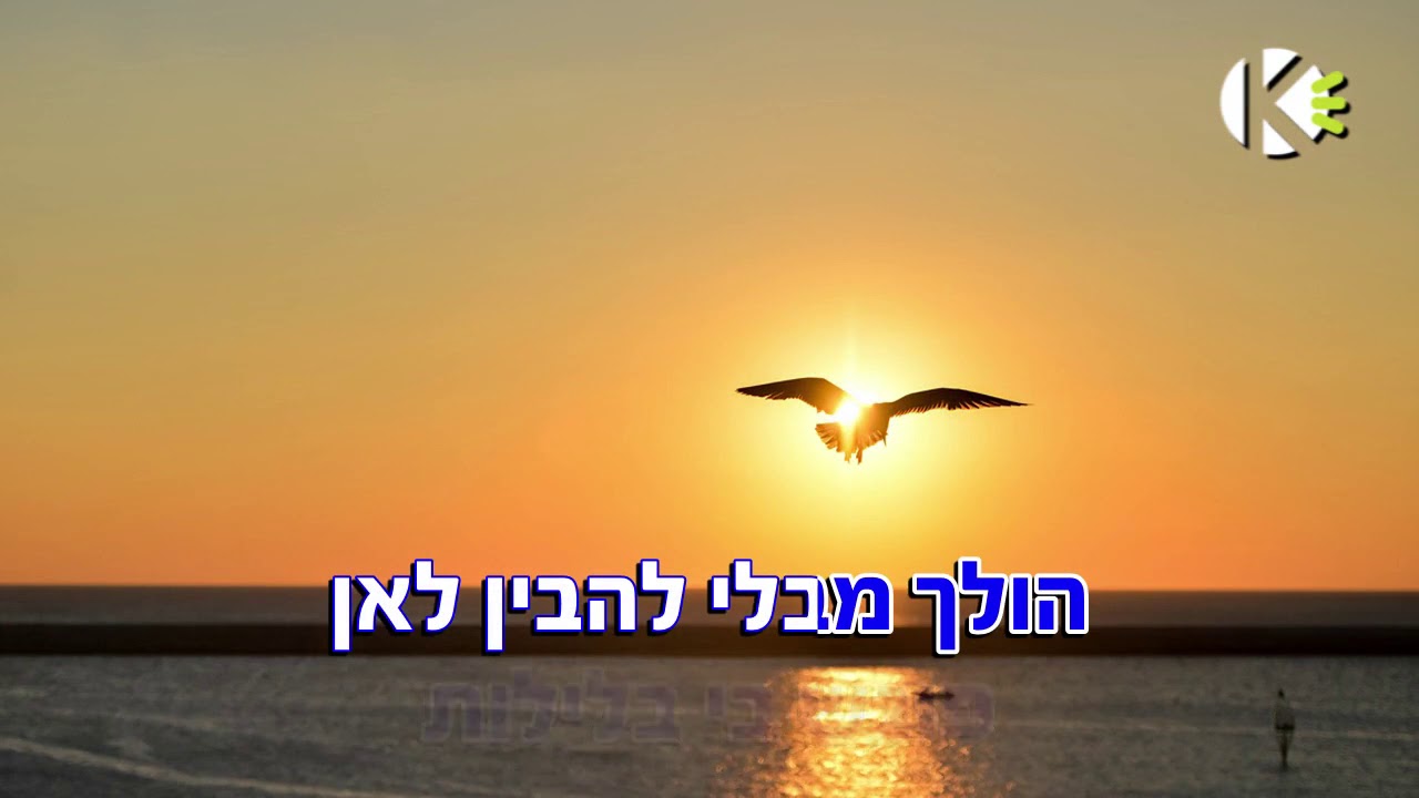 לבחור נכון - אמיר דדון - שרים קריוקי