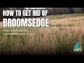 How to get rid of broomsedge and other weeds