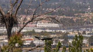 2024-3-16 Mom leaves