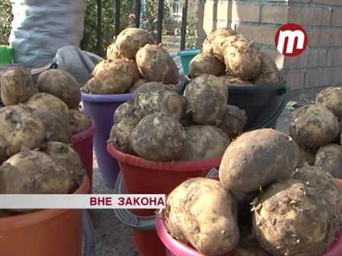 Незаконная торговля