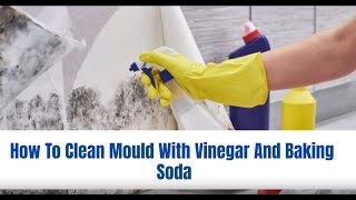 How To Clean Mould With Vinegar And Baking Soda | Bond Cleaning In Darwin