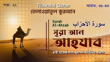 মন জুড়ানো তেলাওয়াত  | সূরা আল আহ্‌যাব | Surah Al-Ahzab |  سورة الأحزاب | আয়াত ৩৮-৪৩