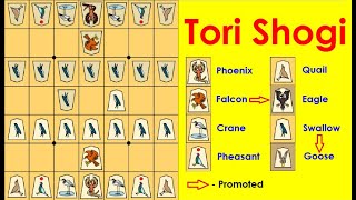 Tori Shogi - One of the most complicated variants in Shogi screenshot 3