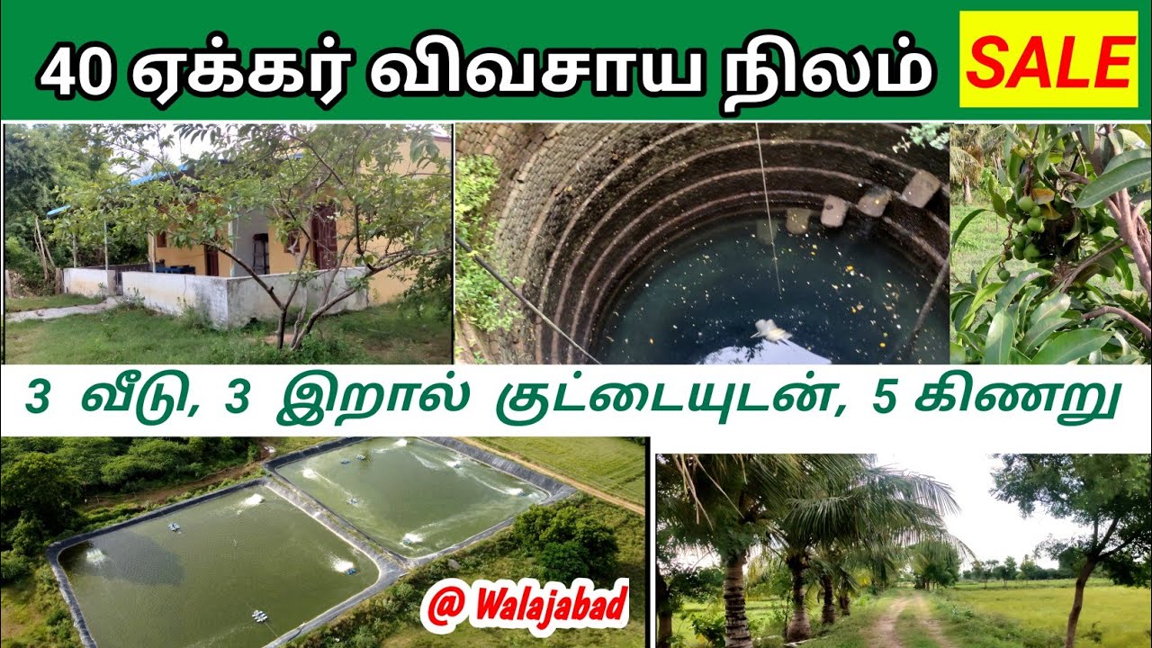 40 ஏக்கர் விவசாய பண்ணைநிலம் விற்பனை 3km from walajabad Agricultural