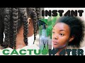 Cactus Water for Super fast Hair Growth | Unusual Plant that Grows Hair