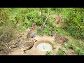 Simple Underground Hole Quail Bird Trap Using Deep Hole & Pot