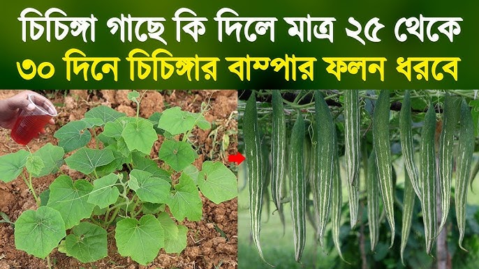 Erkaklar porno va erotik Qani afrikalik ayollar