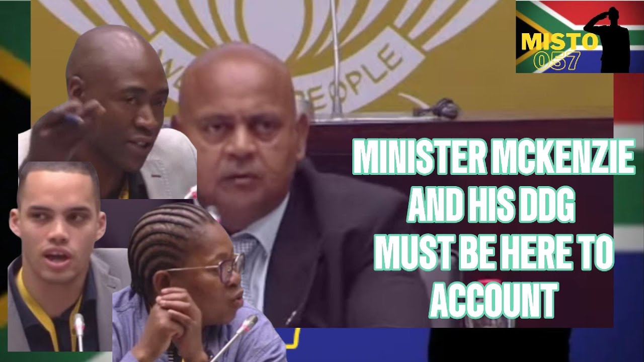 PORTFOLIO COMMITTEE OF SPORTS ARTS AND CULTURE FURIOUS MINISTER AND DDG