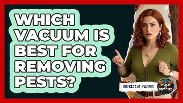 Which Vacuum Is Best For Removing Pests? - Insects and Invaders