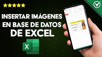 ¿Cómo insertar imágenes en una base de datos de EXCEL? - Tutorial sencillo