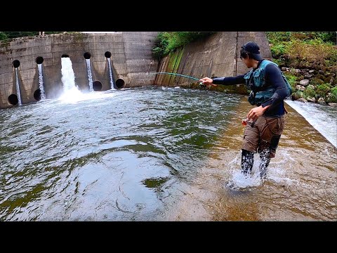 49 割引 第1位獲得 値下げ 渓流釣り フライフィッシングセット ロッド フィッシング Urbanfarminginstitute Org 49 割引 第1位獲得 値下げ 渓流釣り フライフィッシングセット ロッド フィッシング Urbanfarminginstitute Org