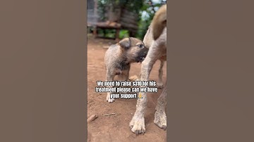 Link in bio to donate via our PayPal account 🙏