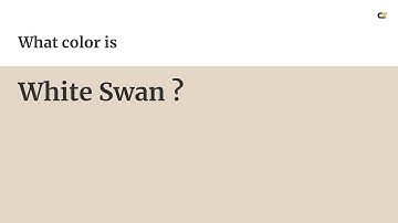 White Swan color #e4d7c5 hex color - Yellow color - Cool color e4d7c5