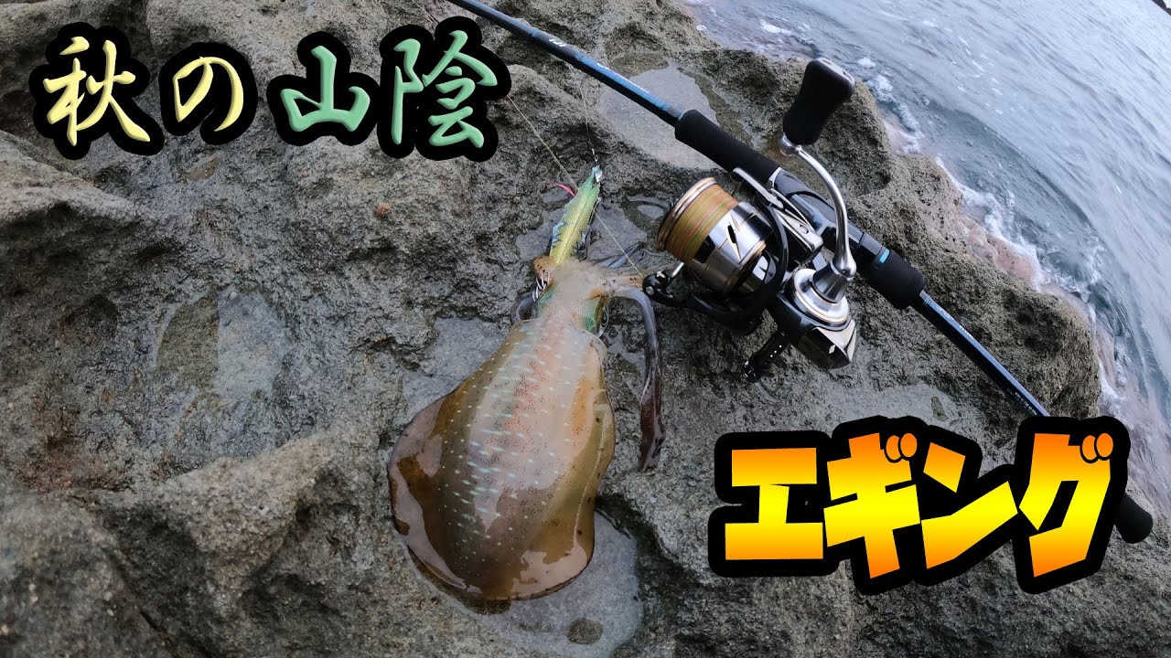 エギング 簡単にコウイカが釣れる海 コルトスナイパーbb入魂のハズが Youtube エギング 簡単にコウイカが釣れる海 コルトスナイパーbb入魂のハズが Youtube