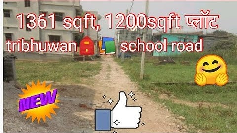 Plot For Sale in tribhuwan 🎒📚school road #plotinkhagaul #plotinsaguna #plotindanapoor #lowpriceplot