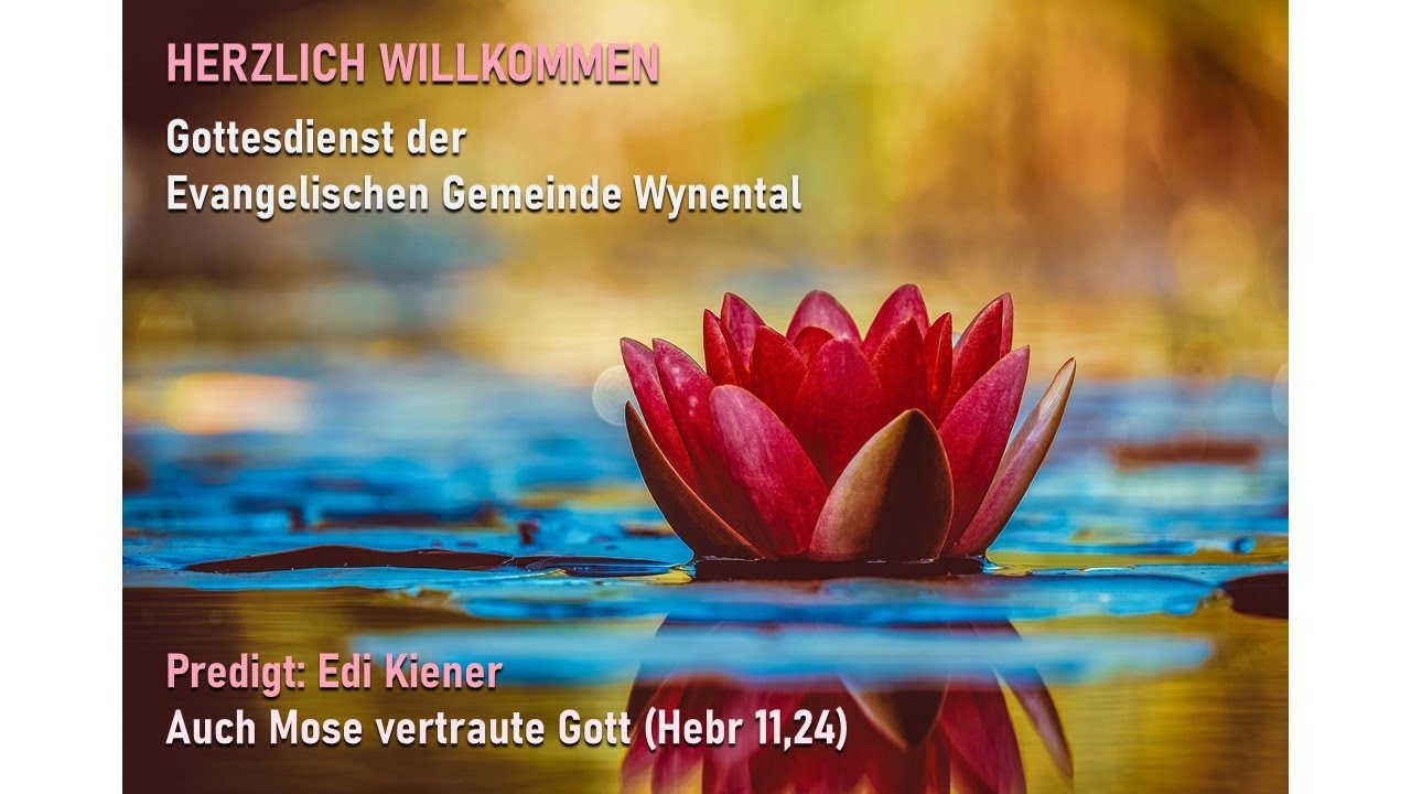 Auch Mose vertraute Gott (Hebr 11,24)