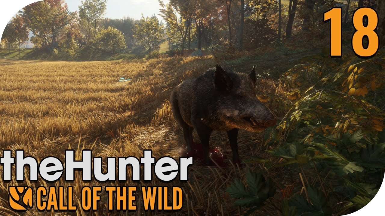 THE HUNTER CALL OF THE WILD 18 JAGDDRUCK IM NORDEN! 🐗 PantoffelPlays YouTube