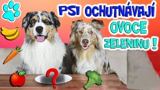 PSI OCHUTNÁVAJÍ OVOCE A ZELENINU! 😂