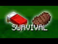 Should Minecraft be a Survival Game?