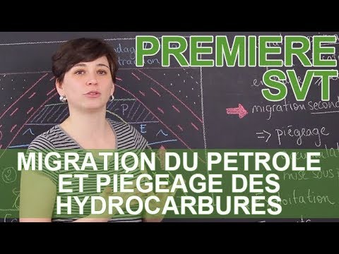 Vidéo: Qu'est-ce que la migration du pétrole ?