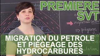 Migration du pétrole et piégeage des hydrocarbures - SVT - 1ère - Les Bons  Profs