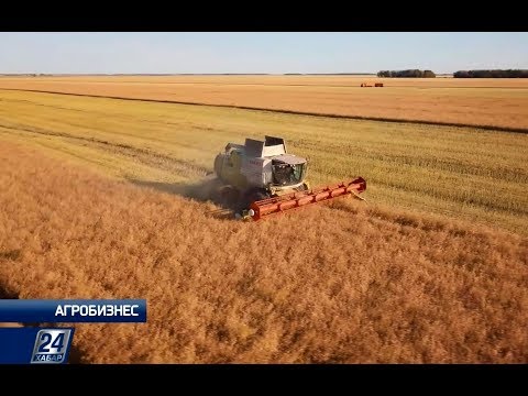 Агробизнесмены Казахстана пожинают