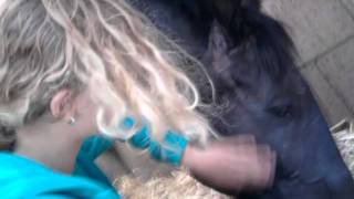 Download Lagu Mozes MP3