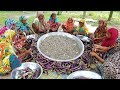 Long Purple  Eggplant Roast - Too Tiny Shrimp Mixed Brinjal Curry Cooking By Village Women