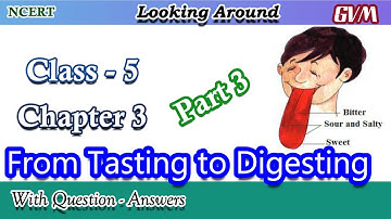 NCERT | Class 5 | EVS | Chapter 3 | From Tasting to Digestion | Part 3