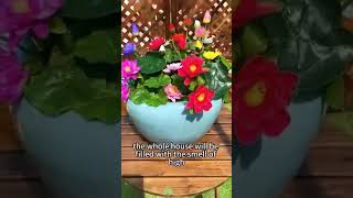🌸 How to Grow Lotus from Seed to Flower? Full Guide | #Rootfuel Lotus Seeds #garden