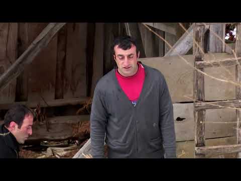 \"მრავალჟამიერი\" • სოფ.ხაბელაშვილები ჭვანას ხეობა(შუახევი)