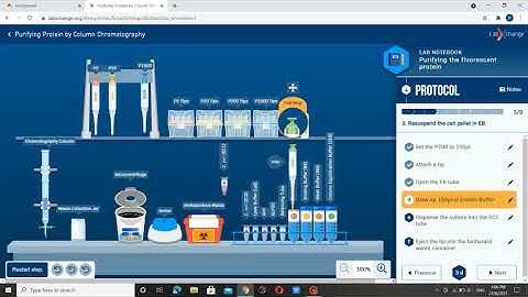 Virtual lab Purifying protein by column chromatography