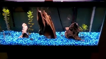 Arduino Fish Tank Controller
