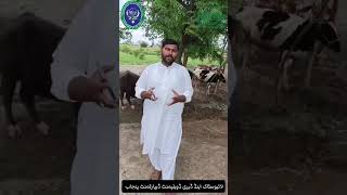 Zoonotic Diseases