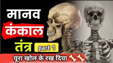 Skeleton System | कंकाल तंत्र | Bones |  Cartilage | Human skeleton system |#education