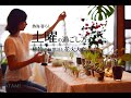 #18 植物と花火と猫 好きなことで心を満たす熱海の休日