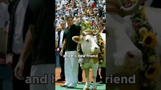 Roger Federer got gifted a cow! 🐄 #wimbledon #tennis #tennisplayer #rogerfederer