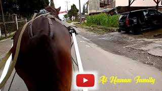 Naik Delman di Berastagi||Lagu naik delman no copyright ||Take a wagon ride in Berastagi, Indonesia