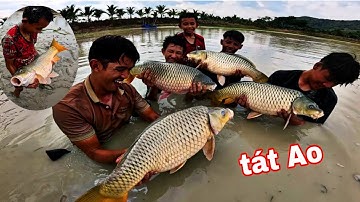 Quá Nhiều Cá Lớn Dưới Lớp Bùn Ao | 51H Tát Cạng Ao Sau Mùa Nước Lũ Kết Quả Bội Thu