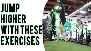 These Exercises Will Help You Jump Higher | The Lost Breed