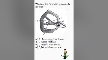 Neural Control and Coordination PYQ Neet Aiims MCQ #neet #biology #neetbiology #aiims #neet2024 #pyq