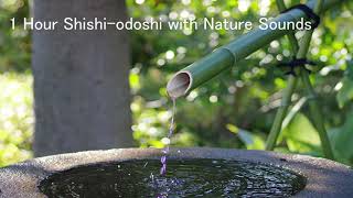 1 Hour Shishi-odoshi