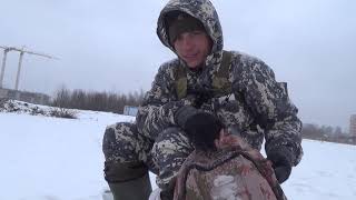 Окунь в Подмосковье или Снежная рыбалка ! Окунь в Подмосковье или Снежная рыбалка !