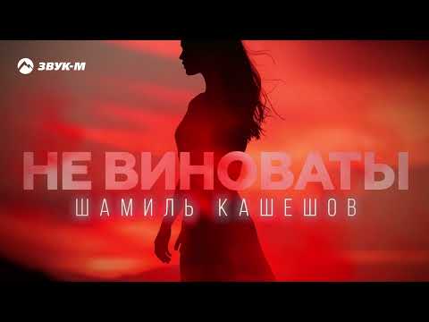 Шамиль Кашешов Не виноваты Премьера трека 2025