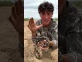 ATTACKED BY A SNAKE ЁЯРН ЁЯШ ATTACKED BY A SNAKE ЁЯРН ЁЯШ